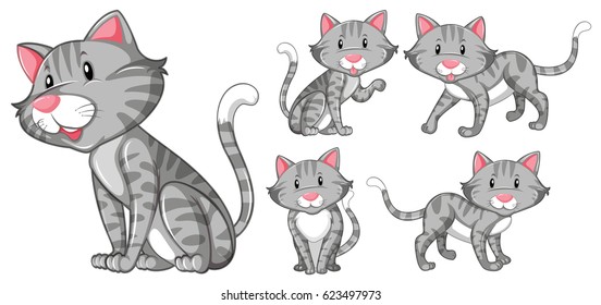 Different actions of gray cat illustration