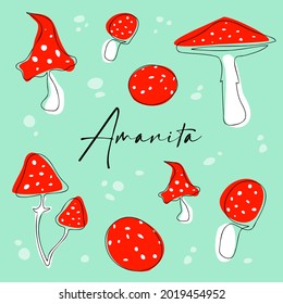 diferentes amanitas en un fondo verde con el texto