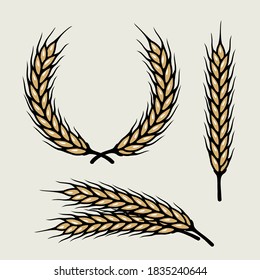 Different angles barley spike for art brush for bar menu or pattern brush logo element