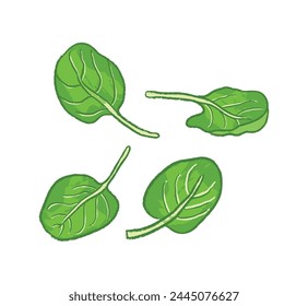Different angles of spinach leaves