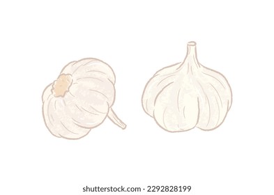 Different angles of whole raw garlics 