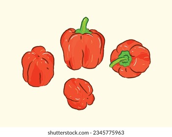 Different angles of whole raw red peppers in ingredients illustration