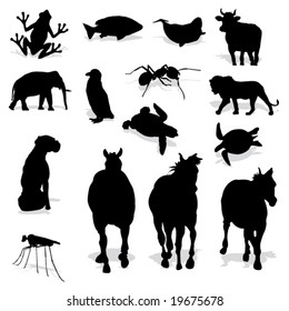 Different Animal Silhouettes