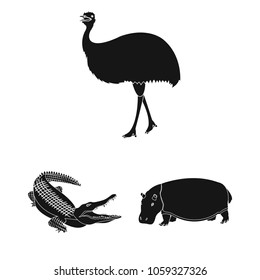 Different animals black icons in set collection for design. Bird, predator and herbivore vector symbol stock web illustration.