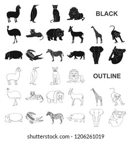 Different animals black icons in set collection for design. Bird, predator and herbivore vector symbol stock web illustration.