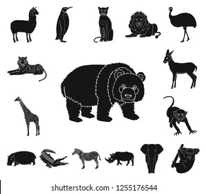 Different animals black icons in set collection for design. Bird, predator and herbivore vector symbol stock web illustration.