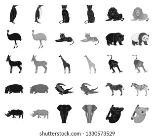 Different animals black,monochrome icons in set collection for design. Bird, predator and herbivore vector symbol stock web illustration.