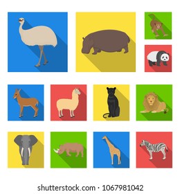 Different animals flat icons in set collection for design. Bird, predator and herbivore vector symbol stock web illustration.