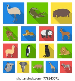 Different animals flat icons in set collection for design. Bird, predator and herbivore vector symbol stock web illustration.