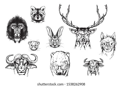 Different animals in glasses. Outline portraits on white background