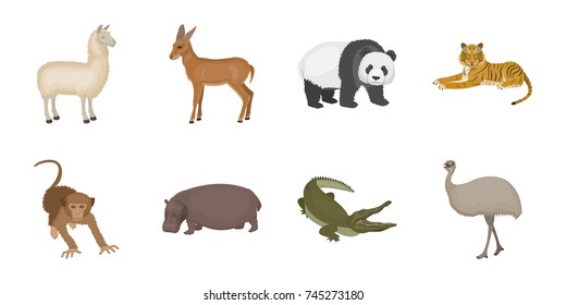Different animals icons in set collection for design. Bird, predator and herbivore vector symbol stock web illustration.