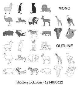 Different animals monochrom icons in set collection for design. Bird, predator and herbivore vector symbol stock web illustration.