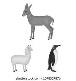 Different animals monochrome icons in set collection for design. Bird, predator and herbivore vector symbol stock web illustration.