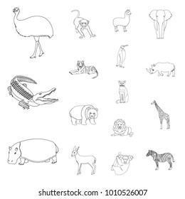 Different animals outline icons in set collection for design. Bird, predator and herbivore vector symbol stock web illustration.