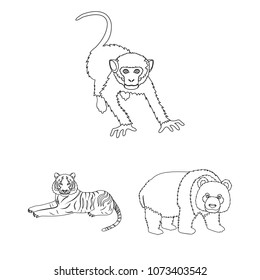Different animals outline icons in set collection for design. Bird, predator and herbivore vector symbol stock web illustration.