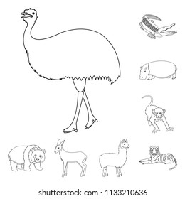 Different animals outline icons in set collection for design. Bird, predator and herbivore vector symbol stock web illustration.