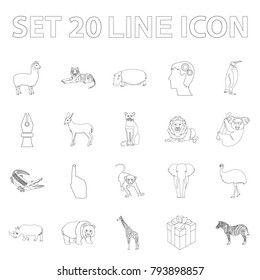 Different animals outline icons in set collection for design. Bird, predator and herbivore vector symbol stock web illustration.