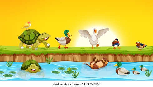 Different animals in pond scene illustration