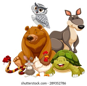 Different animals together on a white background