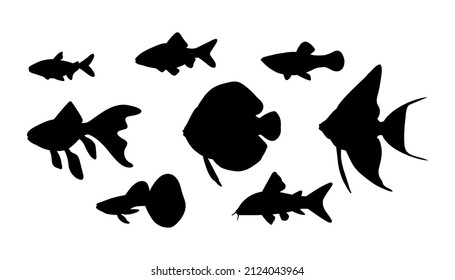 Different aquarium freshwater fish in black silhouette.Isolated on white background.Vector set illustration.