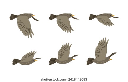 Different arrangement of wings of a flying bird. Side view. Vector illustration of flight on a white background. Flying design and freedom, decoration, fauna pigeon