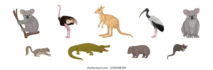 Different Australian Animals with Kangaroo, Ostrich, Ibis and Koala Vector Set