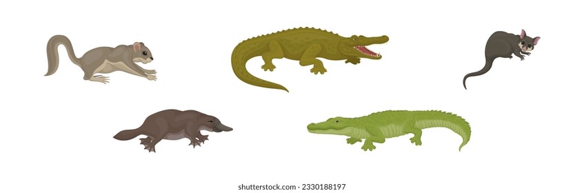 Different Australian Animals with Platypus, Crocodile and Bilby Vector Set