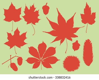 Different autumn leaves on green background illustration