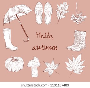 Different autumn stuff, vector