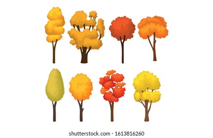 Different Autumn Trees with Bright Colorful Foliage Vector Set