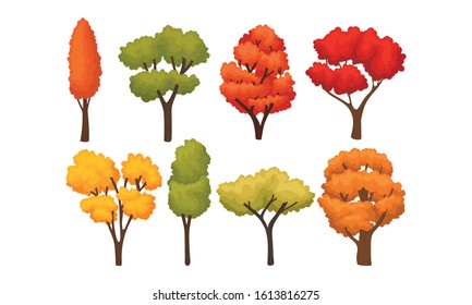 Different Autumn Trees with Bright Colorful Foliage Vector Set