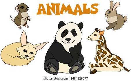 Different baby animals giraffe, Panda, mouse, desert Fox, rabbit
