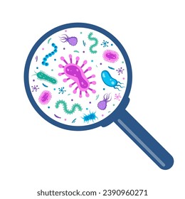 Different bacteria, pathogenic microorganisms under a magnifying glass. Bacteria and germ, microorganisms disease-causing, bacteria, bacteria, viruses, fungi, protozoa, probiotic Vector illustration