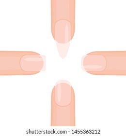Different basic fashion natural nail shapes. Set kinds forms of nails. Salon nails type trends. Vector illustration