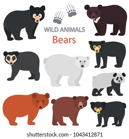 Different bears breeds color flat icons set