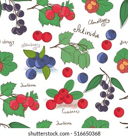 Different Berries. Background, wallpaper, seamless. Sketch. Blueberries, actinidia, cloedberry, hawthorn