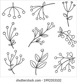 Diferentes bayas o flor línea botánica conjunto de iconos vectoriales
