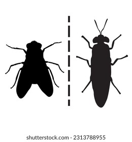 The different between fly and black soldier fly icon vector illustration