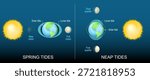 Different between Neap tide and Spring tide. Solar and Lunar tides. Influence of the Sun and the phases of the Moon on water of the world ocean on planet Earth. Vector illustration