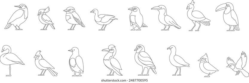 Different bird vector illustration collection, line icon style, vitrum, stained glass style outline, colouring book asset