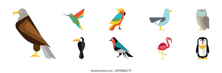 Different Birds and Avians as Feathered Flying Creature Vector Set