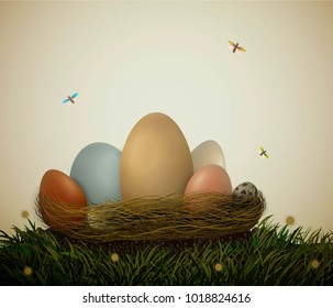 different birds eggs in the nest on the grass with flowers and butterflies, Easter composition, vector