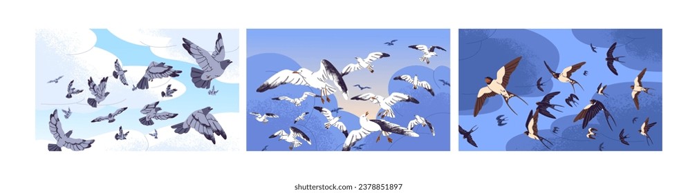 Different birds fly in spring sky set. Swallow, white seagull, pigeon flock flying, floating in air. Urban doves, gulls flapping wings. Wild animals with feather background. Flat vector illustration