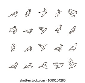 Different birds icons set in linear style, vector illustration. With flamingo, owl, duck etc.