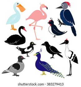 Different birds isolated on white background. Pelican, flamingo, woodpecker, swan, magpie, swallow, crows, cranes, peacock, pigeon. 