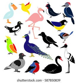 Different birds isolated on white background. Hummingbird, colibri,  titmouse, bullfinch, parrot, pelican, flamingo, woodpecker, swan, magpie, swallow, crows, cranes, peacock, pigeon.