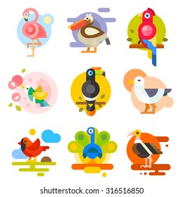 Different birds: pelican, flamingo, toucan, parrot, hummingbird, eagle, seagull, peacock. Vector flat Illustrations 