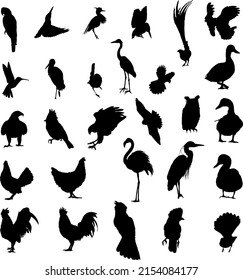 Different birds silhouettes farm and wildlife