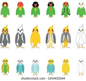  Different birds species cockatiel, lovebird, parakeet- Vector
