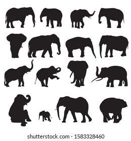 Different black elephants gestures on white background